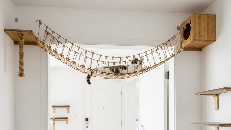 Roped Cat Bridge: Stylish, Durable Wall Bridges for Active Cats